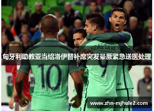 匈牙利助教亚当绍洛伊替补席突发晕厥紧急送医处理 匈牙利助教亚当绍洛伊替补席突发晕厥紧急送医处理